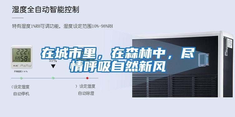 在城市里，在森林中，盡情呼吸自然新風(fēng)