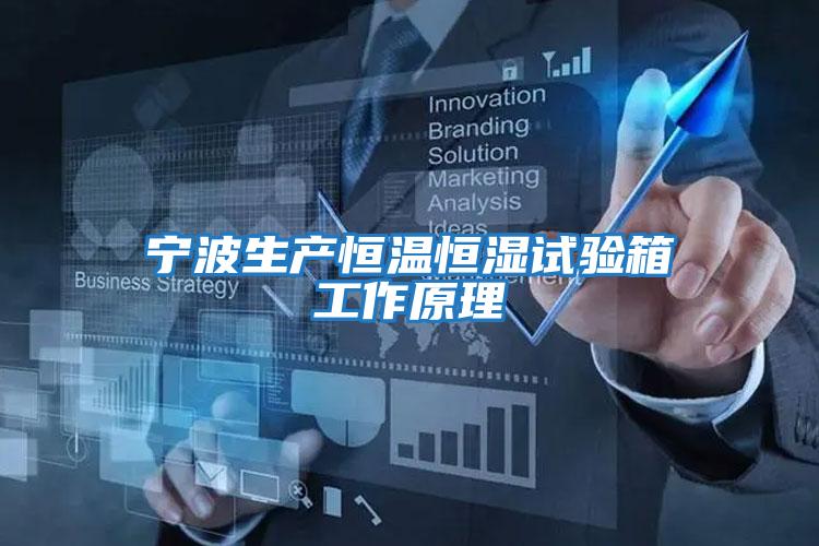 寧波生產恒溫恒濕試驗箱工作原理