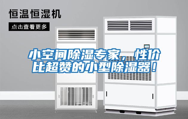 小空間除濕專家，性價比超贊的小型除濕器！