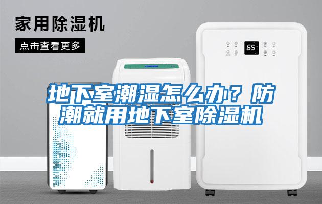 地下室潮濕怎么辦？防潮就用地下室除濕機