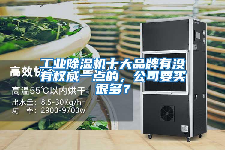 工業除濕機十大品牌有沒有權威一點的，公司要買很多？