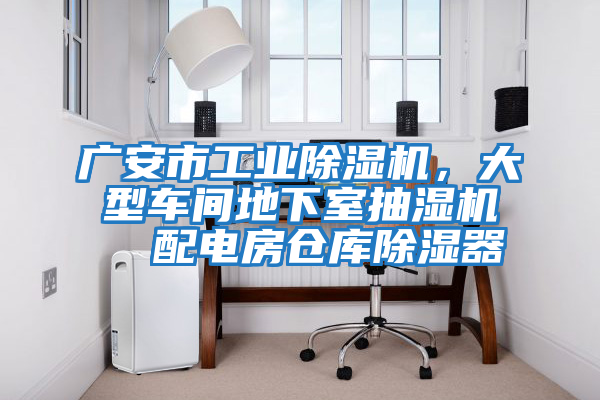 廣安市工業(yè)除濕機(jī)，大型車間地下室抽濕機(jī)  配電房倉庫除濕器