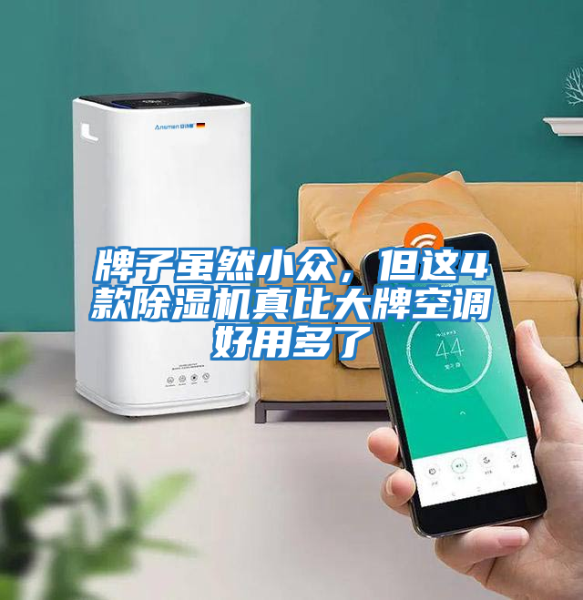 牌子雖然小眾，但這4款除濕機真比大牌空調好用多了