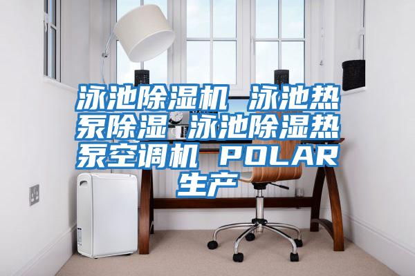 泳池除濕機 泳池熱泵除濕 泳池除濕熱泵空調機 POLAR生產