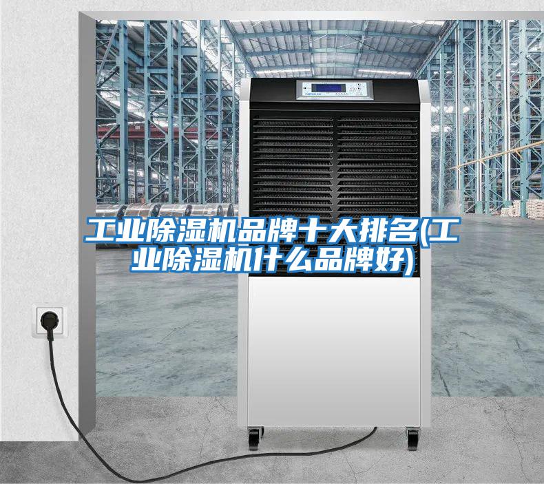 工業除濕機品牌十大排名(工業除濕機什么品牌好)