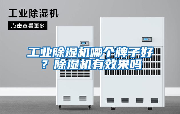 工業除濕機哪個牌子好？除濕機有效果嗎