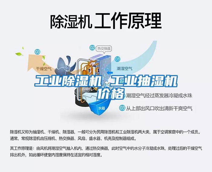 工業除濕機 工業抽濕機 價格