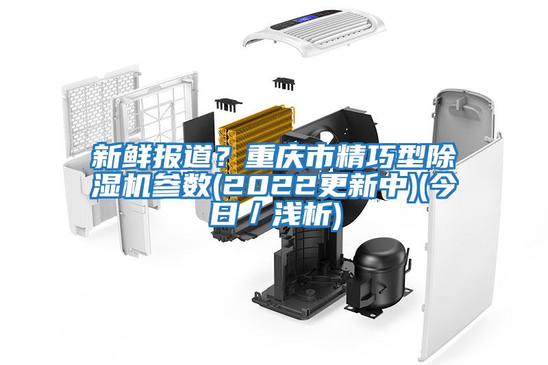新鮮報道？重慶市精巧型除濕機參數(2022更新中)(今日／淺析)