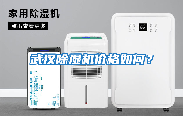 武漢除濕機價格如何？