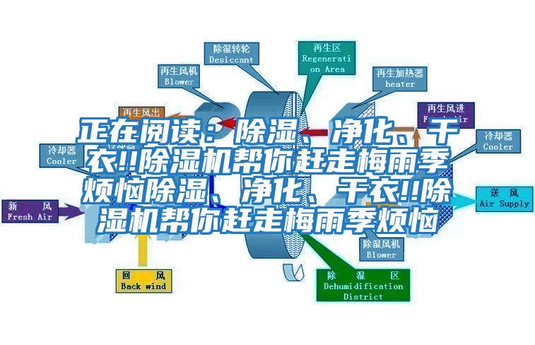 正在閱讀：除濕、凈化、干衣!!除濕機幫你趕走梅雨季煩惱除濕、凈化、干衣!!除濕機幫你趕走梅雨季煩惱
