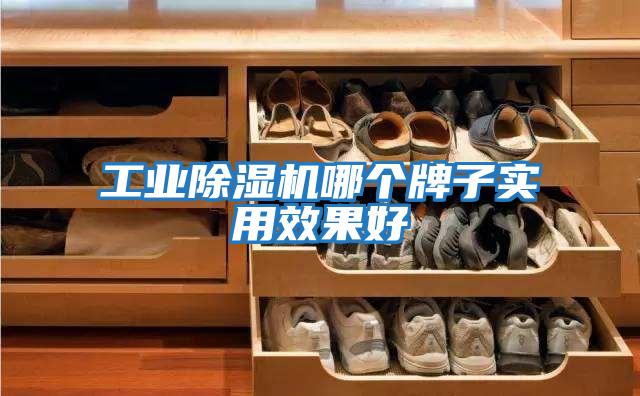 工業(yè)除濕機(jī)哪個牌子實(shí)用效果好