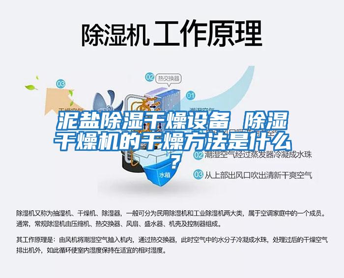 泥鹽除濕干燥設備 除濕干燥機的干燥方法是什么？