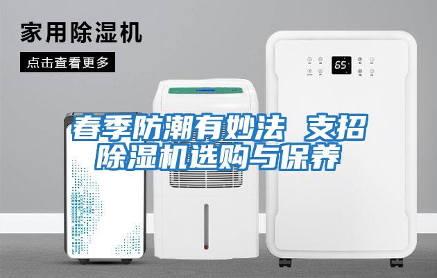 春季防潮有妙法 支招除濕機選購與保養