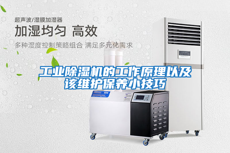 工業除濕機的工作原理以及該維護保養小技巧