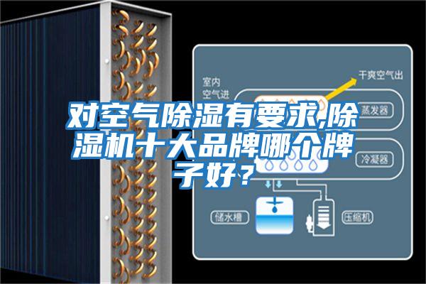 對空氣除濕有要求,除濕機十大品牌哪個牌子好？