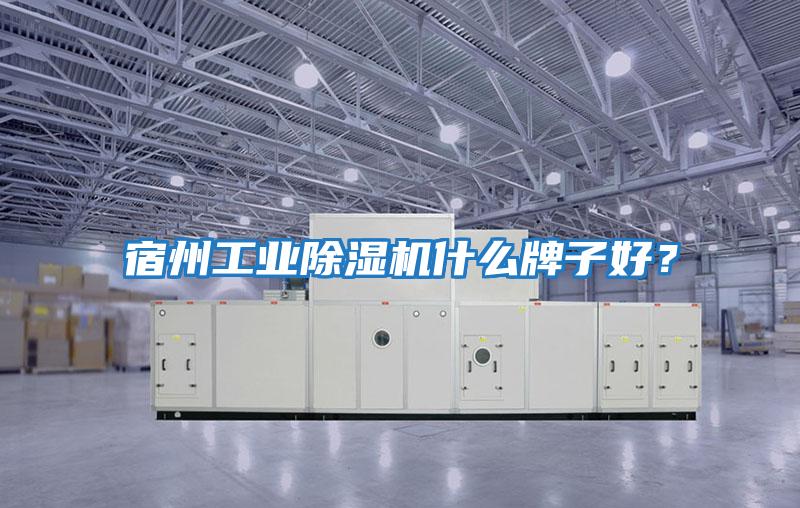 宿州工業除濕機什么牌子好？