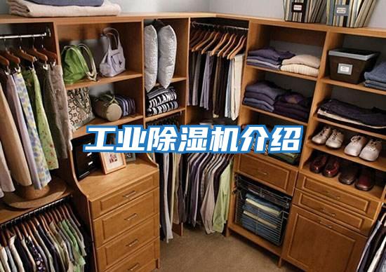 工業除濕機介紹
