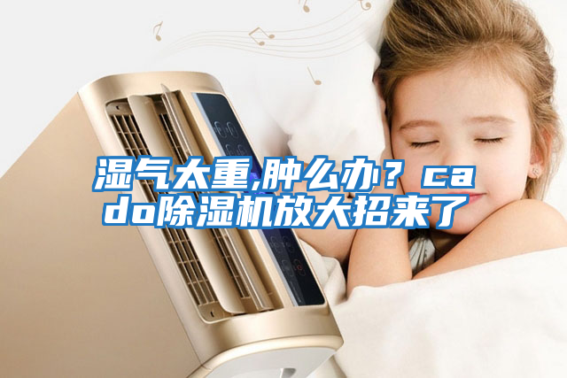 濕氣太重,腫么辦？cado除濕機放大招來了