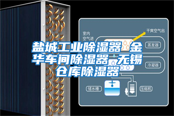 鹽城工業(yè)除濕器 金華車間除濕器 無(wú)錫倉(cāng)庫(kù)除濕器