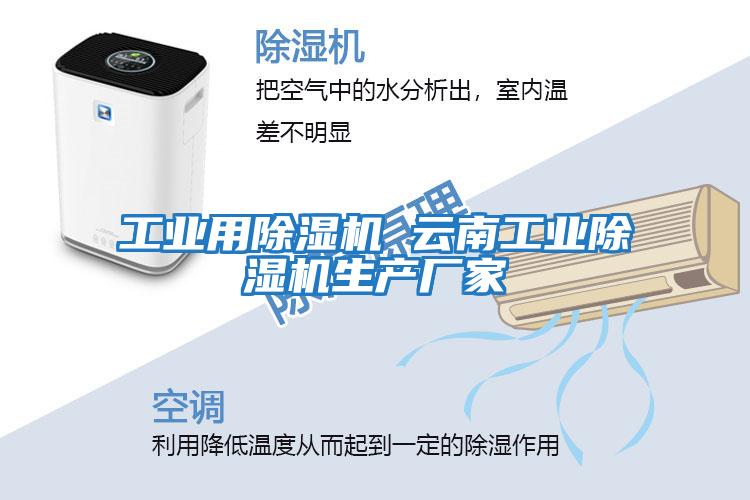 工業(yè)用除濕機 云南工業(yè)除濕機生產(chǎn)廠家