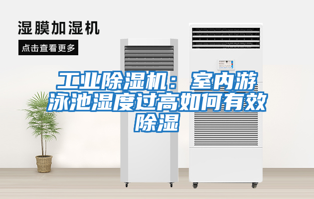 工業除濕機：室內游泳池濕度過高如何有效除濕