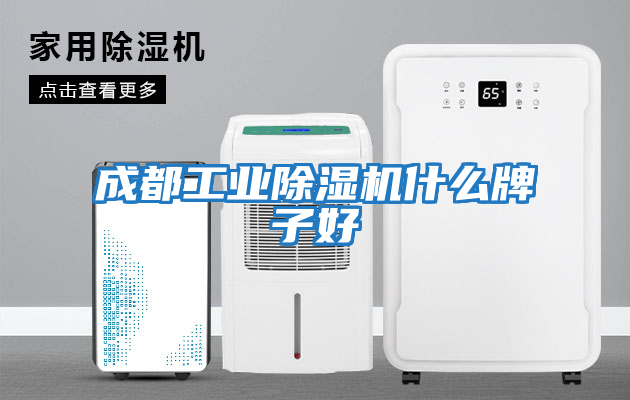 成都工業除濕機什么牌子好