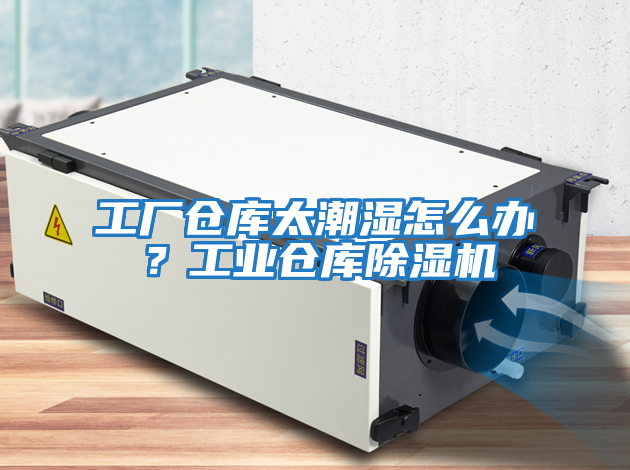 工廠倉庫太潮濕怎么辦？工業倉庫除濕機
