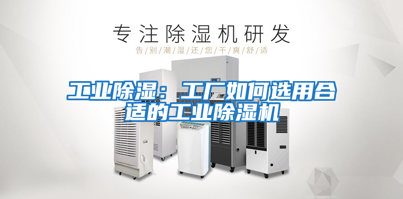 工業除濕：工廠如何選用合適的工業除濕機