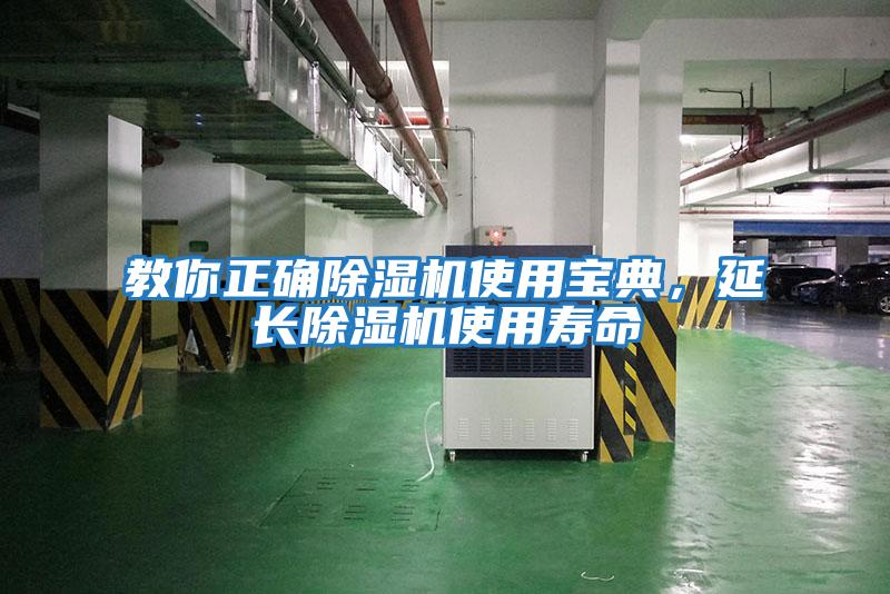 教你正確除濕機使用寶典，延長除濕機使用壽命