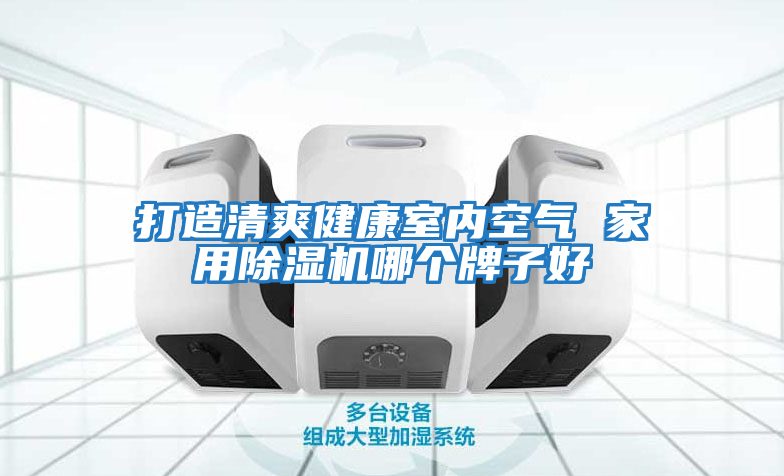 打造清爽健康室內(nèi)空氣 家用除濕機哪個牌子好