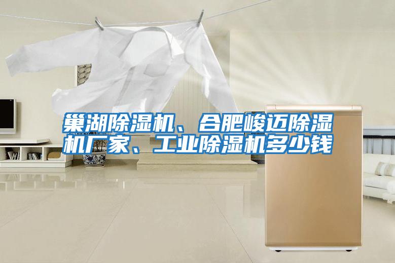 巢湖除濕機、合肥峻邁除濕機廠家、工業除濕機多少錢