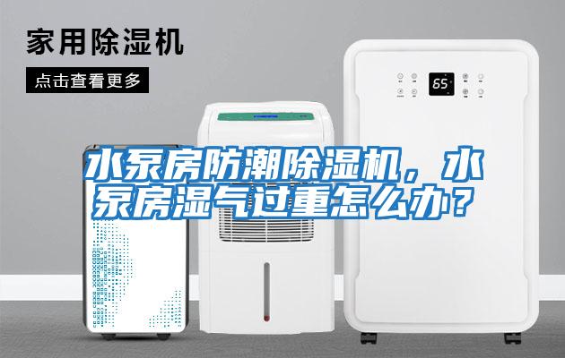 水泵房防潮除濕機(jī)，水泵房濕氣過重怎么辦？