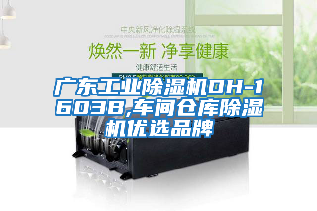 廣東工業除濕機DH-1603B,車間倉庫除濕機優選品牌