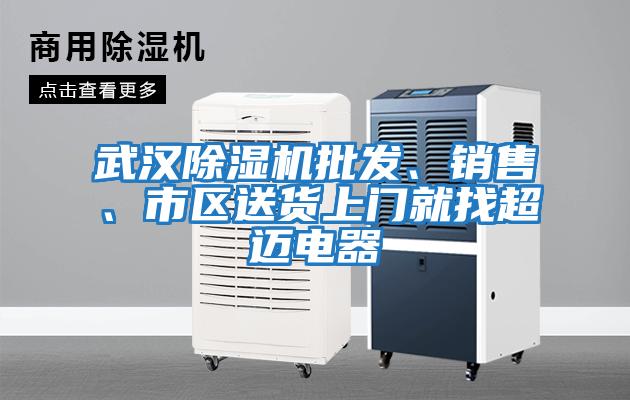 武漢除濕機(jī)批發(fā)、銷(xiāo)售、市區(qū)送貨上門(mén)就找超邁電器