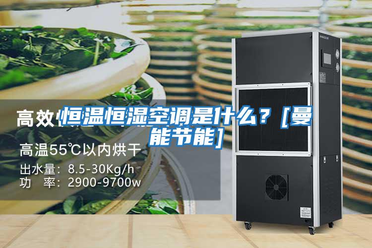 恒溫恒濕空調是什么？[曼能節(jié)能]