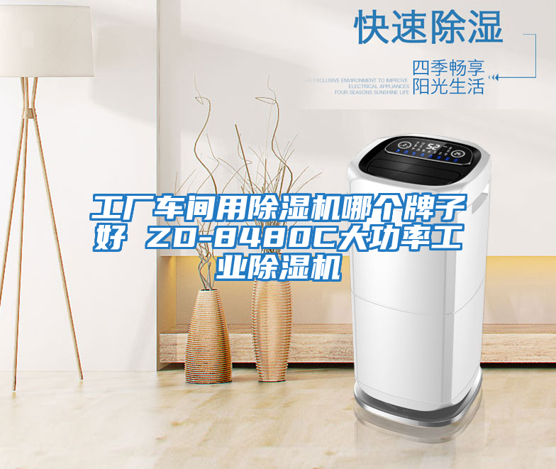 工廠車間用除濕機哪個牌子好 ZD-8480C大功率工業除濕機