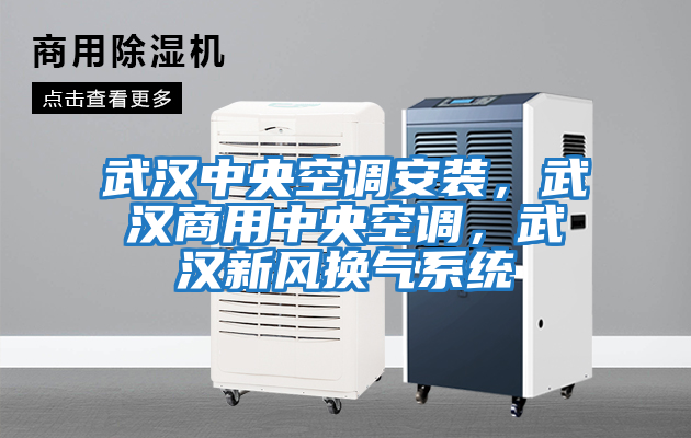 武漢中央空調(diào)安裝，武漢商用中央空調(diào)，武漢新風換氣系統(tǒng)