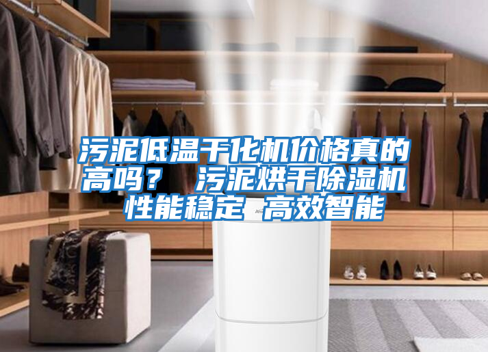 污泥低溫干化機價格真的高嗎？ 污泥烘干除濕機 性能穩定 高效智能