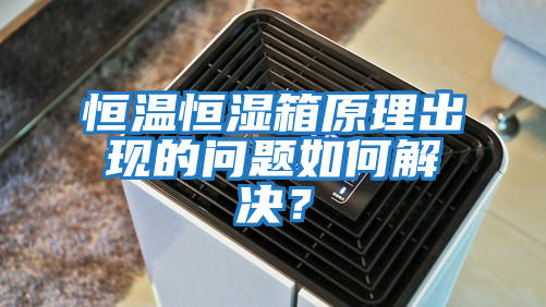 恒溫恒濕箱原理出現的問題如何解決？