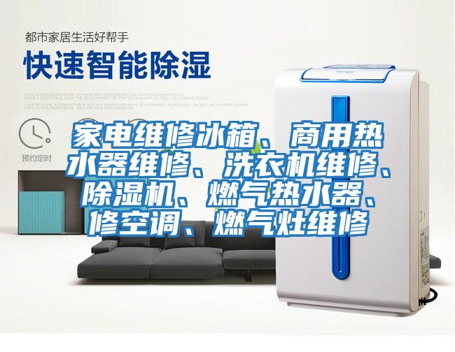 家電維修冰箱、商用熱水器維修、洗衣機維修、除濕機、燃氣熱水器、修空調、燃氣灶維修