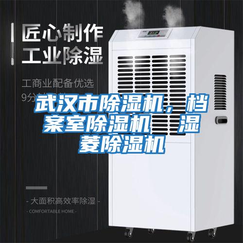 武漢市除濕機(jī)，檔案室除濕機(jī)  濕菱除濕機(jī)