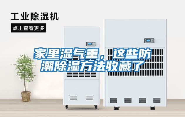 家里濕氣重，這些防潮除濕方法收藏了
