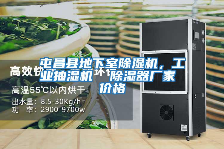 屯昌縣地下室除濕機，工業抽濕機  除濕器廠家 價格