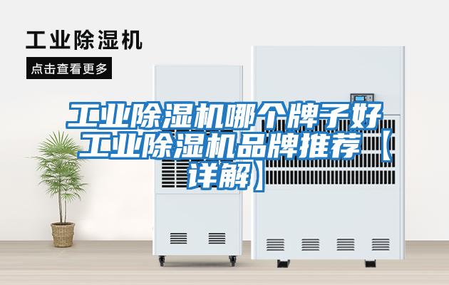 工業(yè)除濕機(jī)哪個牌子好 工業(yè)除濕機(jī)品牌推薦【詳解】
