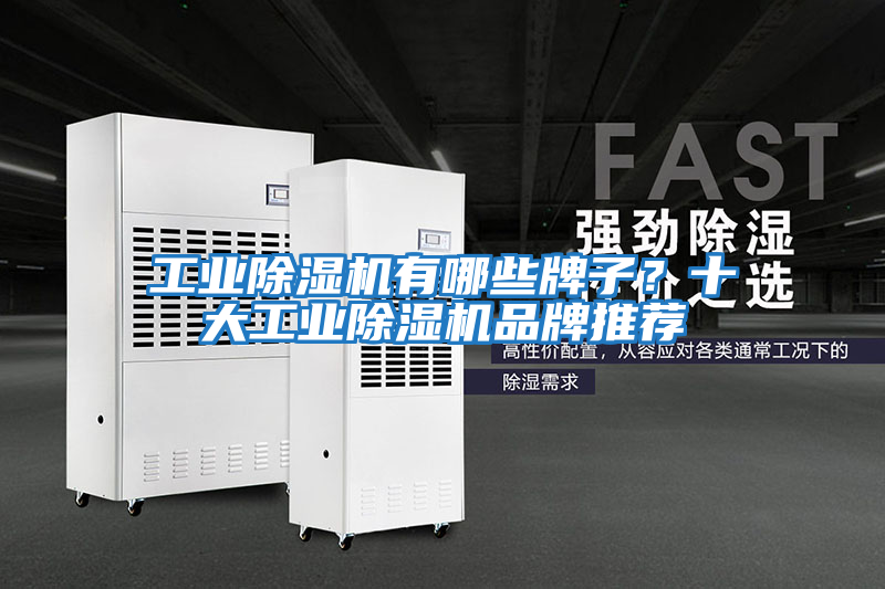 工業除濕機有哪些牌子？十大工業除濕機品牌推薦