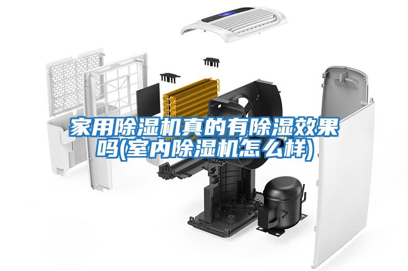 家用除濕機真的有除濕效果嗎(室內除濕機怎么樣)