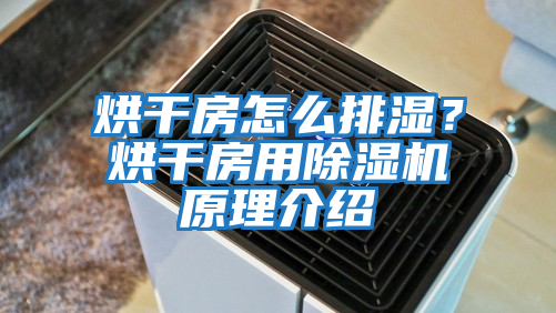 烘干房怎么排濕？烘干房用除濕機原理介紹