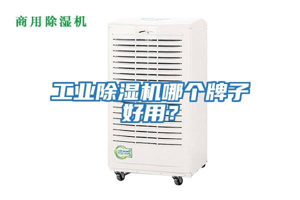 工業(yè)除濕機(jī)哪個牌子好用？
