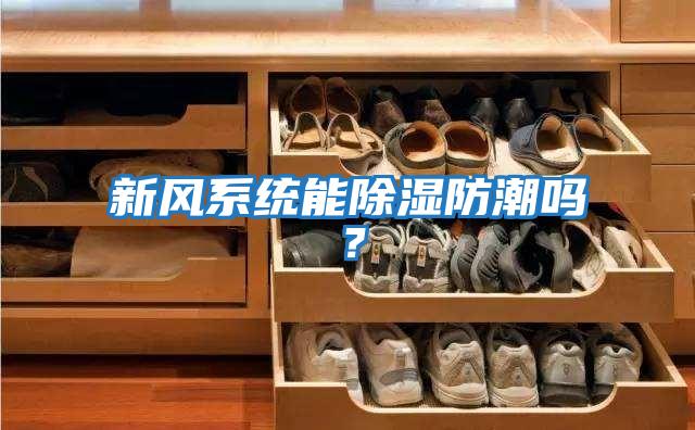 新風系統能除濕防潮嗎？