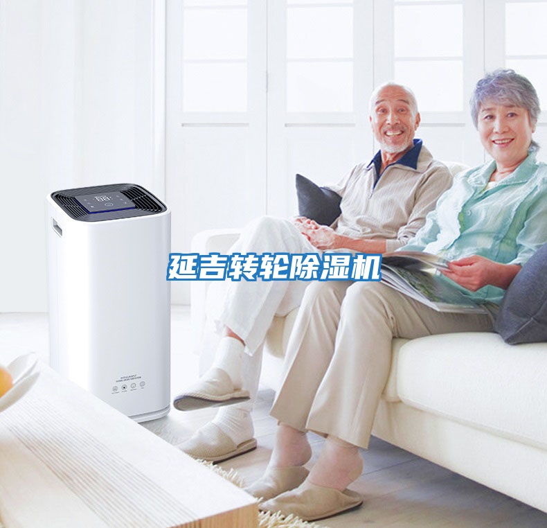 延吉轉輪除濕機